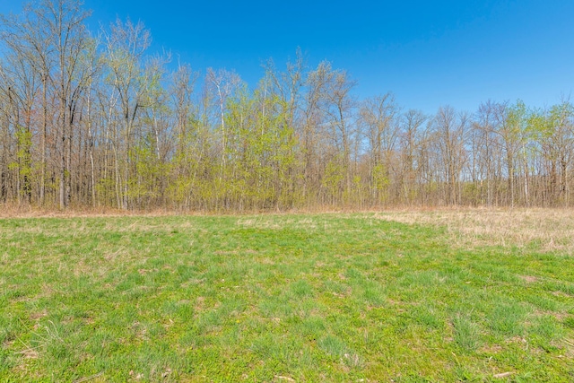 view of yard featuring a wooded view