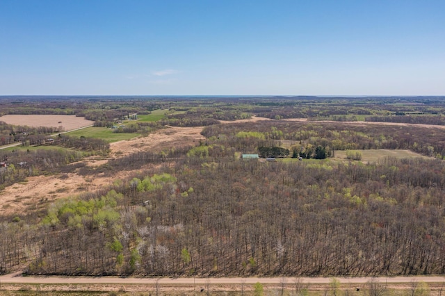 drone / aerial view of a forest