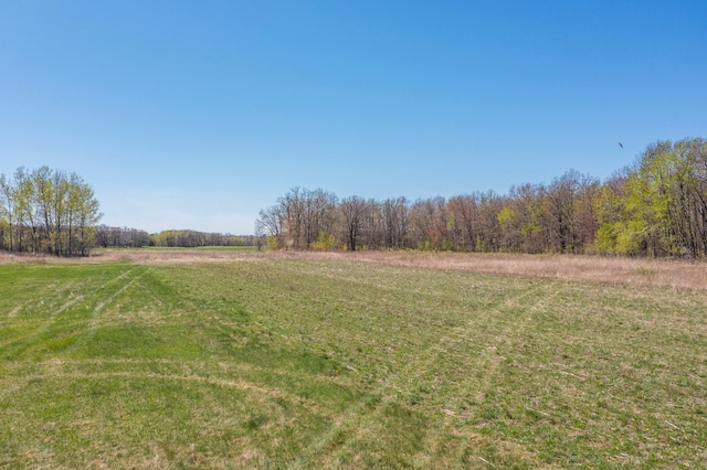 view of green lawn with a wooded view and a rural view