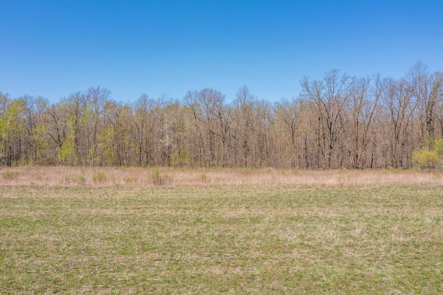 view of woods