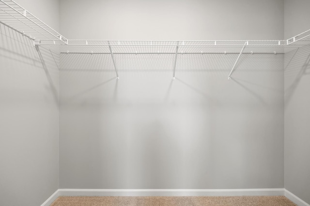 6750 Wildflower Way, Minnetrista, MN 55331 - spacious closet with carpet
