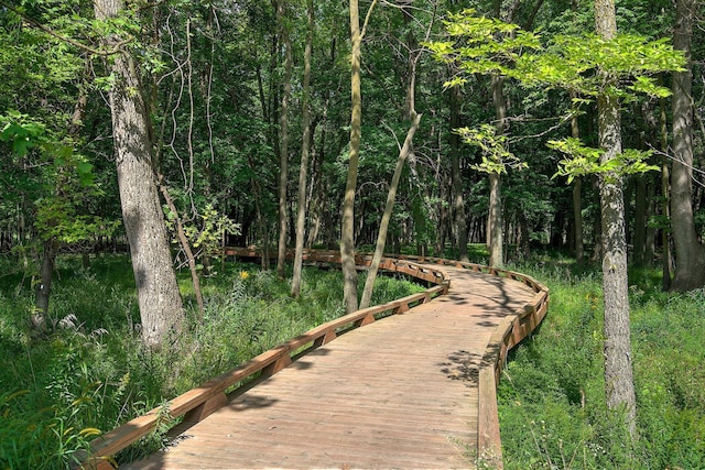 6750 Wildflower Way, Minnetrista, MN 55331 - view of community