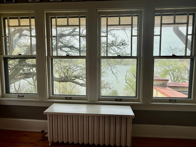 detailed view of radiator heating unit and wood finished floors