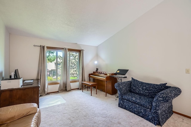 456 Ridge Ct, Chaska, MN 55318 - living area featuring carpet flooring, a desk, vaulted ceiling, and a textured ceiling