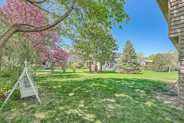 456 Ridge Ct, Chaska, MN 55318 - view of grassy yard