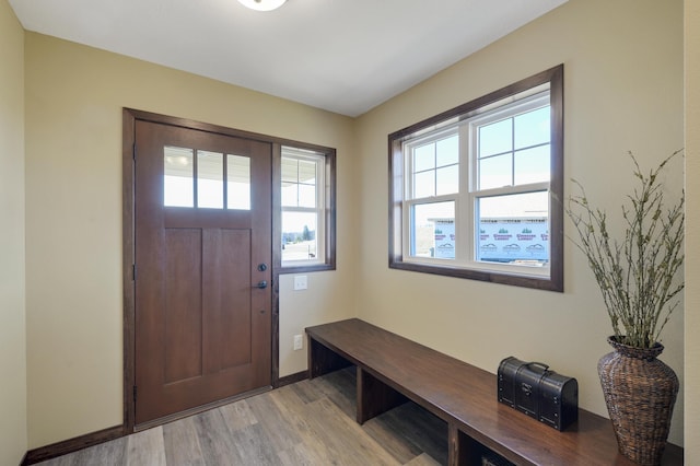 entryway featuring baseboards, plenty of natural light, and light wood-style floors