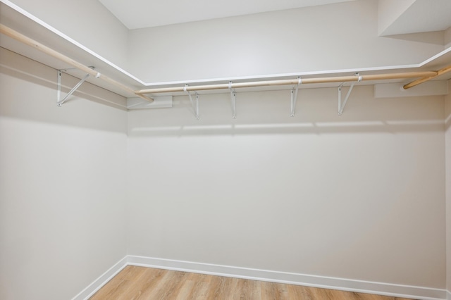 walk in closet with light wood finished floors