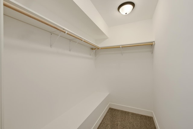 walk in closet with carpet