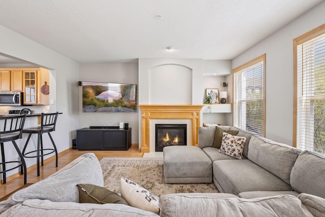 living area featuring a wealth of natural light, a glass covered fireplace, and light wood-type flooring