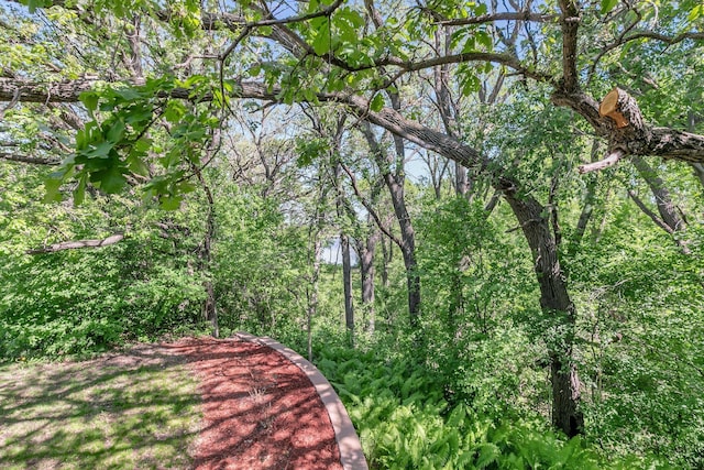 416 19th St NW, Willmar, MN 56201 - photo 7