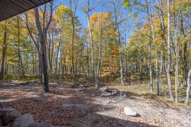 view of yard featuring a forest view