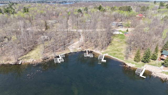 aerial overview of property's location with a nearby body of water and a forest