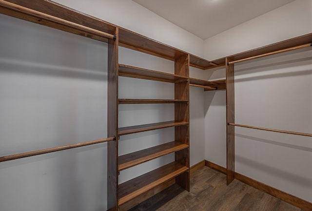 walk in closet featuring dark wood-style floors