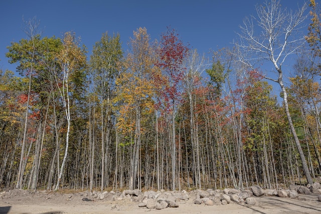 view of tree filled area