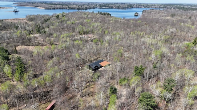bird's eye view of a large body of water and a forest