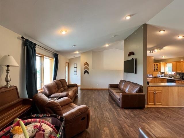 living area with lofted ceiling, a wealth of natural light, baseboards, and dark wood finished floors