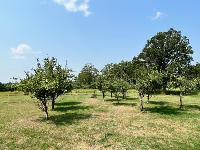 view of nature featuring a rural view