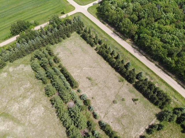18851 121st Ave, Leaf River Twp, MN 56482 - aerial view of sparsely populated area