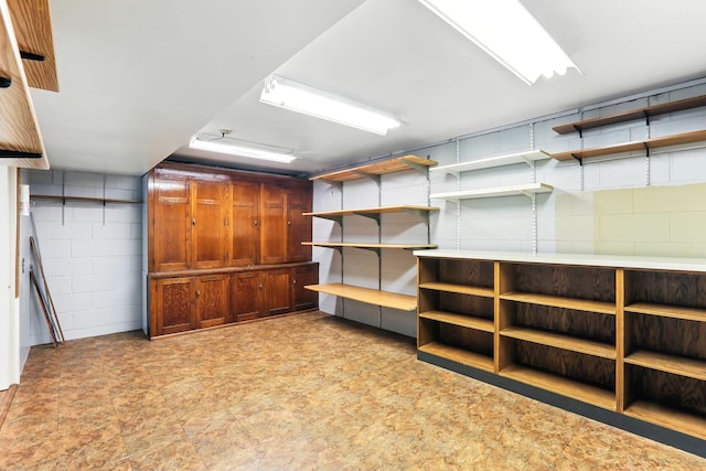 5820 139th St W, Apple Valley, MN 55124 - view of storage area