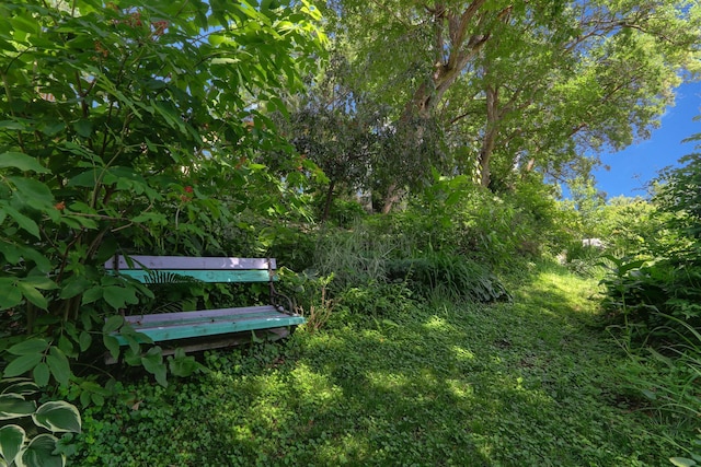 5820 139th St W, Apple Valley, MN 55124 - view of yard