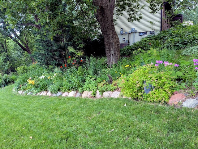 5820 139th St W, Apple Valley, MN 55124 - view of grassy yard