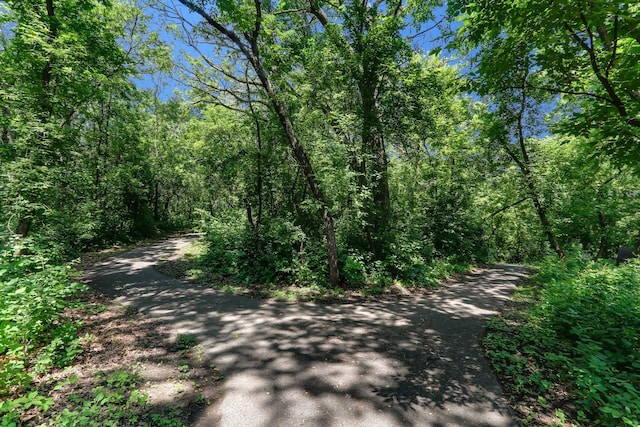 5820 139th St W, Apple Valley, MN 55124 - view of street featuring a view of trees
