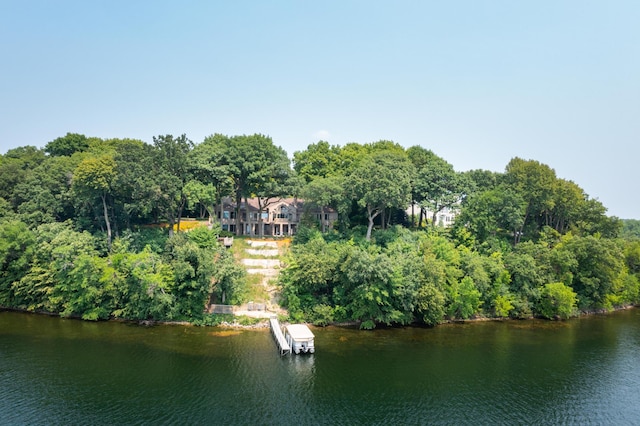 9002 Riley Lake Rd, Eden Prairie, MN 55347 - water view with a boat dock