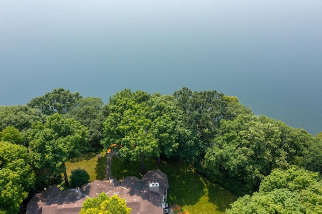 9002 Riley Lake Rd, Eden Prairie, MN 55347 - aerial view of a heavily wooded area