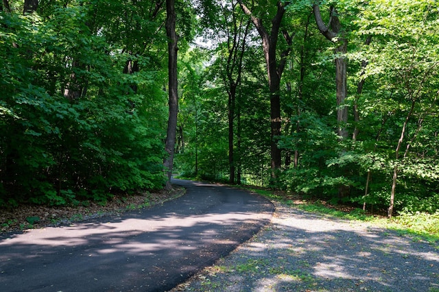 9002 Riley Lake Rd, Eden Prairie, MN 55347 - view of street with a view of trees