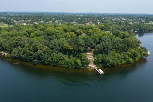 9002 Riley Lake Rd, Eden Prairie, MN 55347 - aerial view of a nearby body of water and a forest