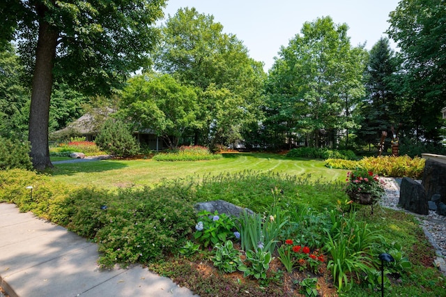 9002 Riley Lake Rd, Eden Prairie, MN 55347 - view of green lawn