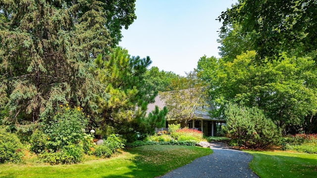 9002 Riley Lake Rd, Eden Prairie, MN 55347 - view of property's community featuring a lawn