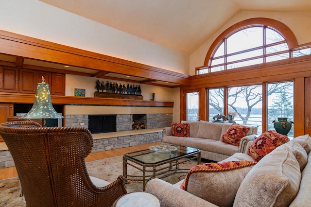 9002 Riley Lake Rd, Eden Prairie, MN 55347 - living area featuring a fireplace, high vaulted ceiling, and wood finished floors