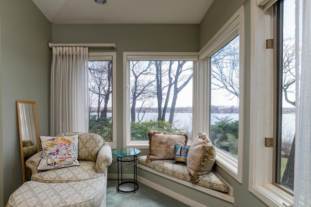 9002 Riley Lake Rd, Eden Prairie, MN 55347 - sunroom / solarium featuring a water view, healthy amount of natural light, carpet, and baseboards
