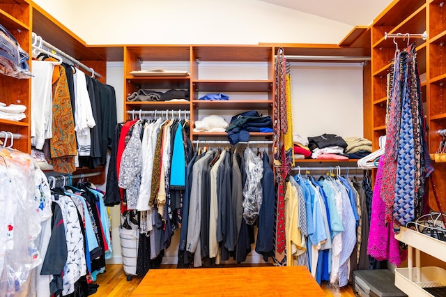 9002 Riley Lake Rd, Eden Prairie, MN 55347 - spacious closet with vaulted ceiling and wood finished floors