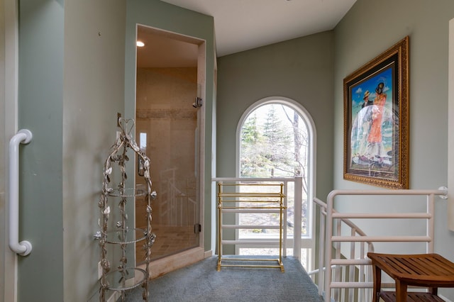 9002 Riley Lake Rd, Eden Prairie, MN 55347 - foyer featuring carpet flooring