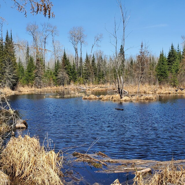 10508 Bessette Rd, Orr, MN 55771 - photo 8