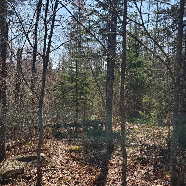 10508 Bessette Rd, Orr, MN 55771 - photo 9