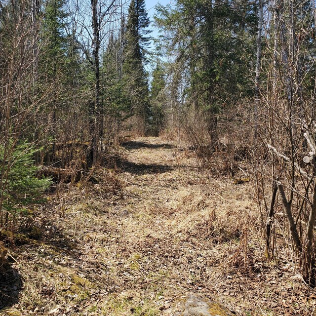 10508 Bessette Rd, Orr, MN 55771 - photo 16