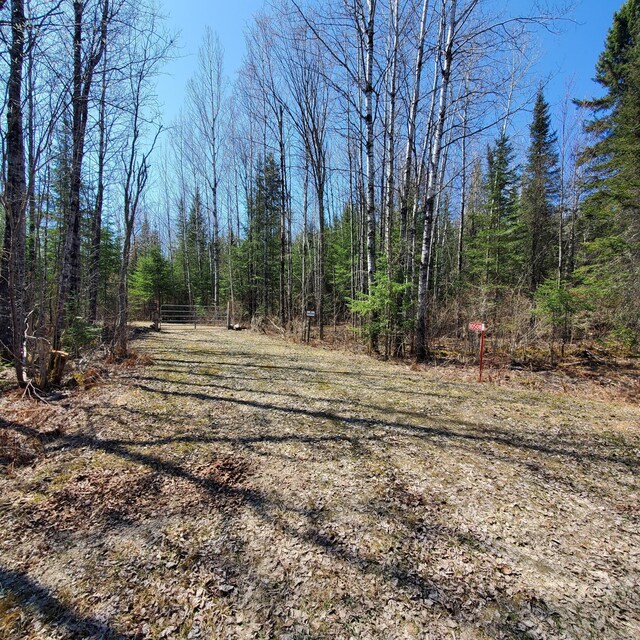 10508 Bessette Rd, Orr, MN 55771 - photo 6