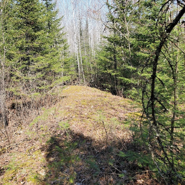 10508 Bessette Rd, Orr, MN 55771 - photo 10
