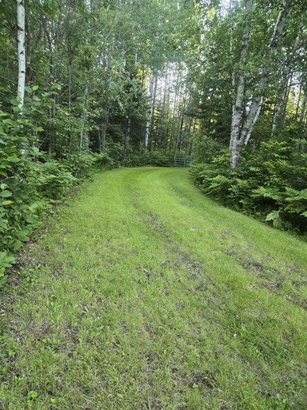 10508 Bessette Rd, Orr, MN 55771 - photo 18