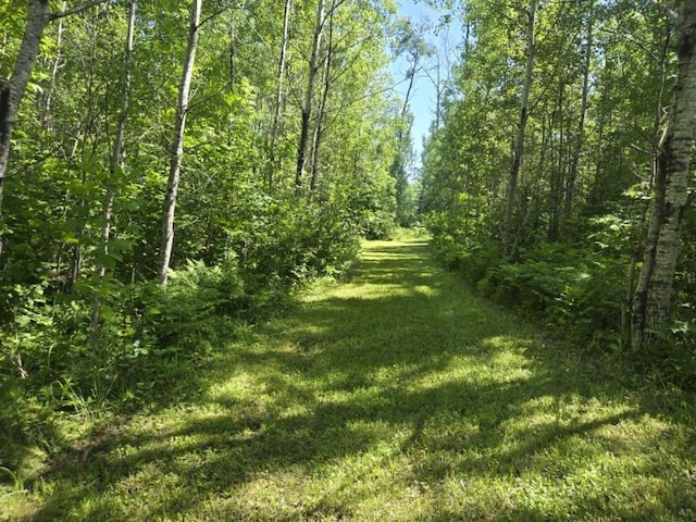 10508 Bessette Rd, Orr, MN 55771 - photo 23
