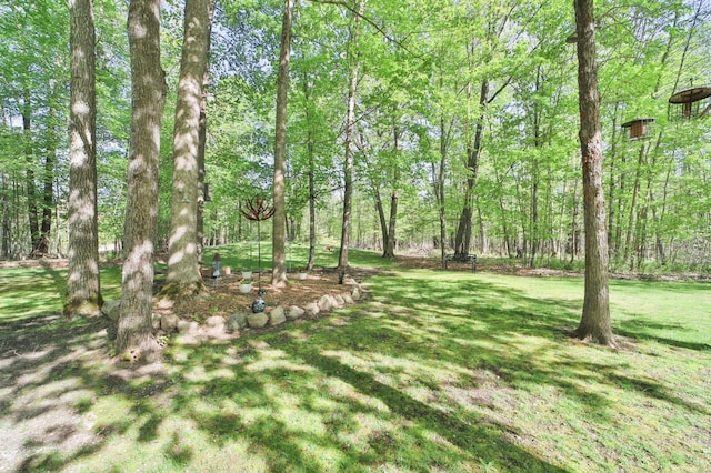 view of grassy yard