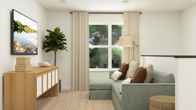 living area featuring carpet floors