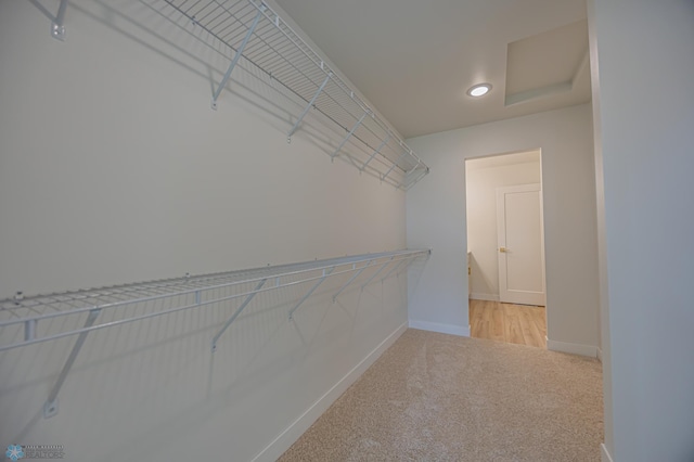 walk in closet featuring carpet floors