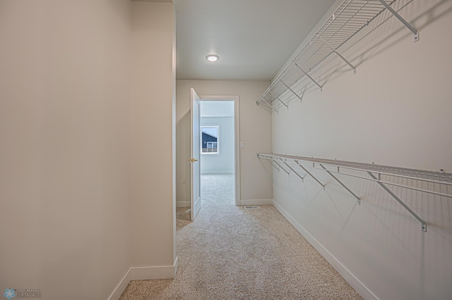 spacious closet with carpet