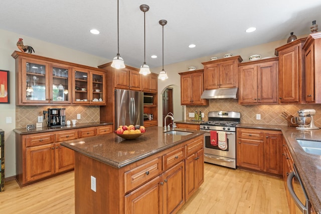 12800 Garrett Ct, Apple Valley, MN 55124 - kitchen with appliances with stainless steel finishes, a sink, under cabinet range hood, arched walkways, and brown cabinetry
