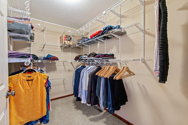 12800 Garrett Ct, Apple Valley, MN 55124 - spacious closet featuring carpet