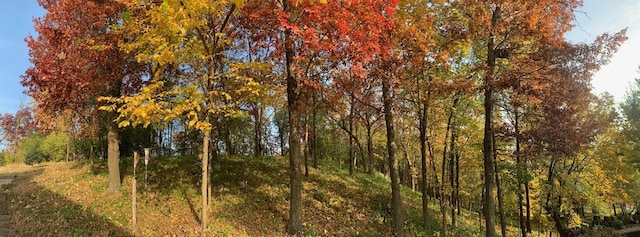 12800 Garrett Ct, Apple Valley, MN 55124 - view of nature